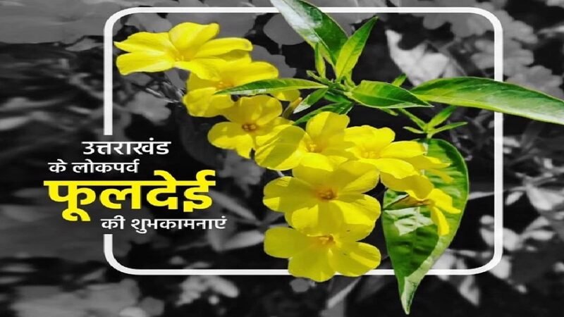 चला फुलारी फूलों क, सौदा-सौदा फूल बिरौला, फूलदेई, छ्मा देई, ऐगे ऋतुरैणा