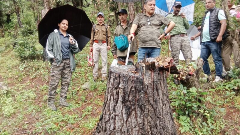 उत्तरकाशी ब्रेकिंग: फिर चर्चा में टौंस वन प्रभाग, हरे पेड़ों पर चली आरियां, वन दरोगा और रक्षक अटैच, तीन गिरफ्तार