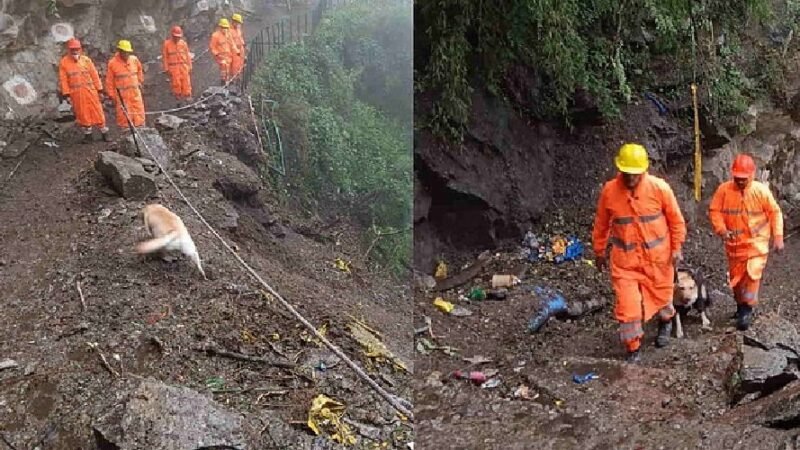 यमुनोत्री यात्रा पर अस्थायी रो, पैदल मार्ग पर रेस्क्यू अभियान तीसरे दिन भी जारी