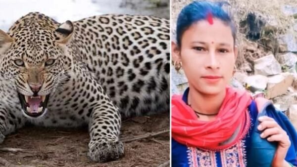 उत्तराखंड: बच्चे पर झपटा गुलदार, अंगूरा देवी ने पकड़ की पूंछ, बचाई बेटे की जान