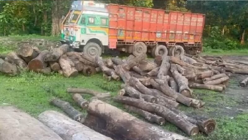 उत्तराखंड : ट्रक में हो रही थी लकड़ी की तस्करी, वन विकास निगम के चार कर्मचारी सस्पेंड