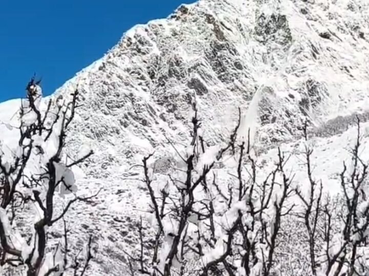 उत्तरकाशी : बर्फ से ढकी चोटियां चमकीं, सेब के बागवानों के लिए बड़ी राहत