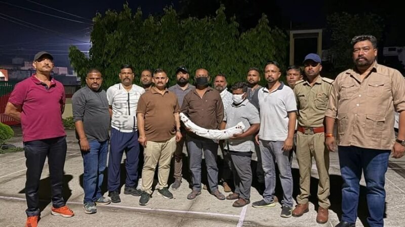 सितारगंज में STF की बड़ी कार्रवाई, 1.5 करोड़ रुपये के हाथी दांत समेत दो वन्यजीव तस्कर गिरफ्तार