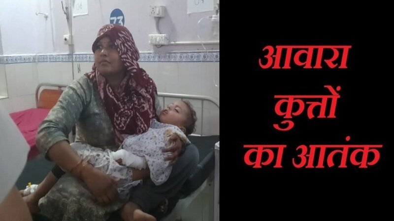 उत्तरकाशी में आवारा कुत्तों का आतंक, एक दिन में 16 लोगों पर हमला