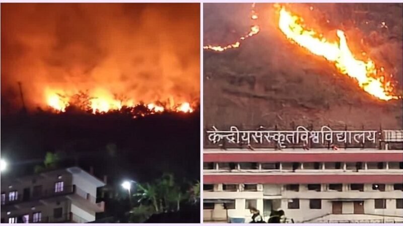 उत्तराखंड : जंगल की भीषण आग से दहशत, इस यूनिवर्सिटी के परिसर तक पहुंचीं लपटें