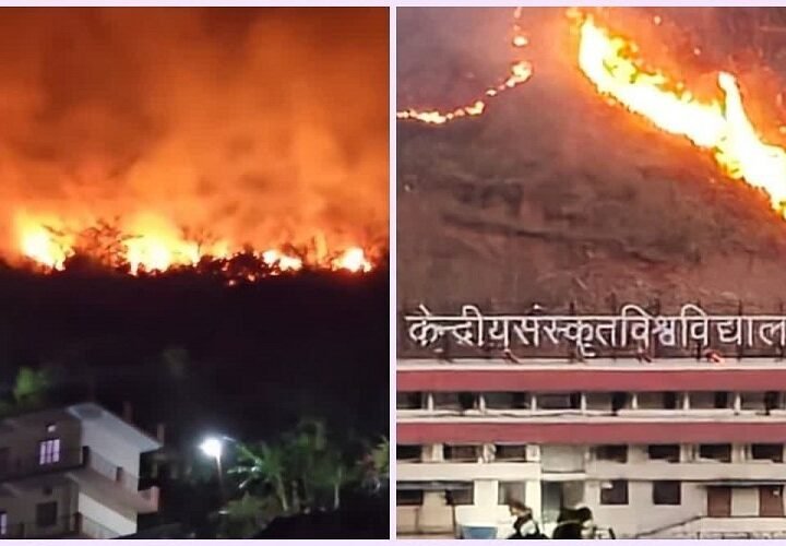 उत्तराखंड : जंगल की भीषण आग से दहशत, इस यूनिवर्सिटी के परिसर तक पहुंचीं लपटें