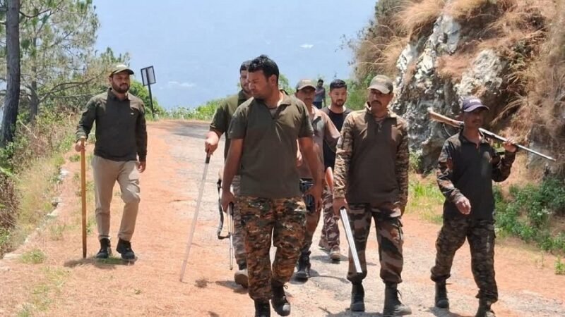 गुलदार का आतंक, लगातार हमलों से ग्रामीणों में दहशत