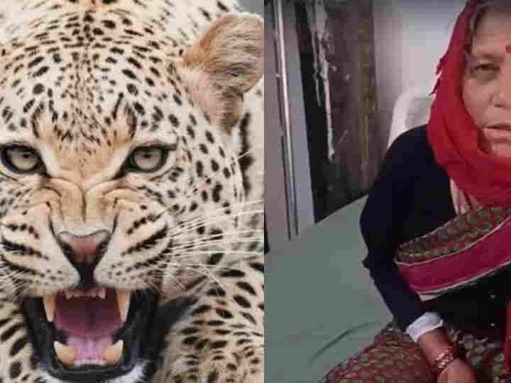 उत्तराखंड : दरांती से किया मुकाबला,  महिला ने गुलदार को मार भागाया