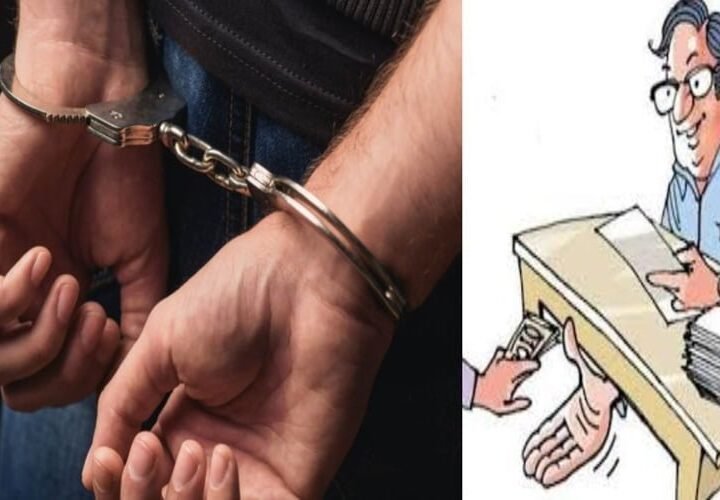 बड़ी खबर: सितारगंज तहसील में रिश्वत लेते दो कर्मचारी गिरफ्तार, विजिलेंस टीम को बना लिया बंधक