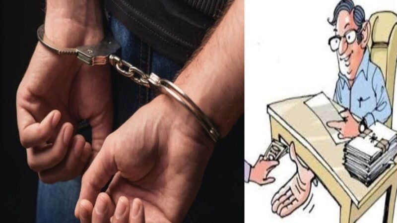 बड़ी खबर: सितारगंज तहसील में रिश्वत लेते दो कर्मचारी गिरफ्तार, विजिलेंस टीम को बना लिया बंधक